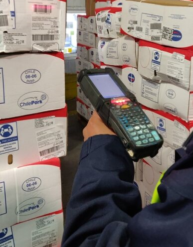 Handled Bodega
